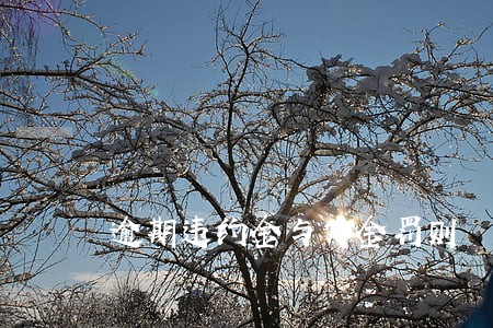 逾期违约金与定金罚则 逾期违约金与定金罚则