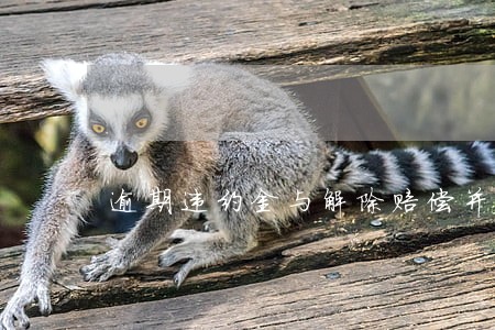 逾期违约金与解除赔偿并用