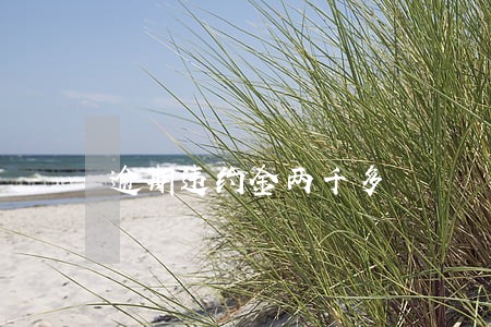 逾期违约金两千多