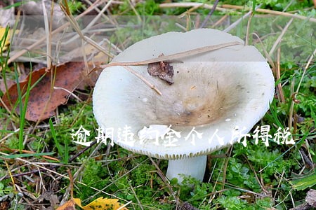 逾期违约金个人所得税 逾期违约金个人所得税