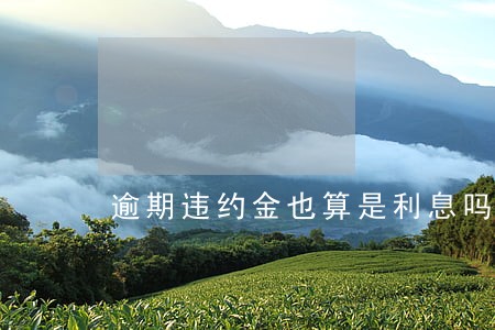 逾期违约金也算是利息吗