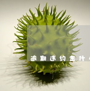 逾期违约金什么时候开始算
