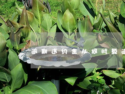 逾期违约金从何时算逾期 逾期违约金从何时算逾期