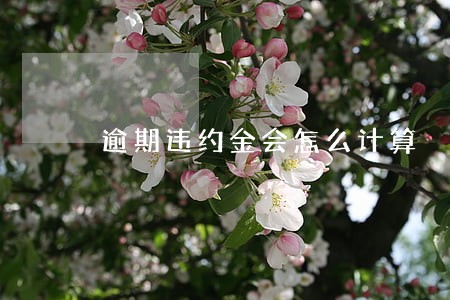 逾期违约金会怎么计算 逾期违约金会怎么计算