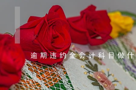 逾期违约金会计科目做什么 逾期违约金会计科目做什么