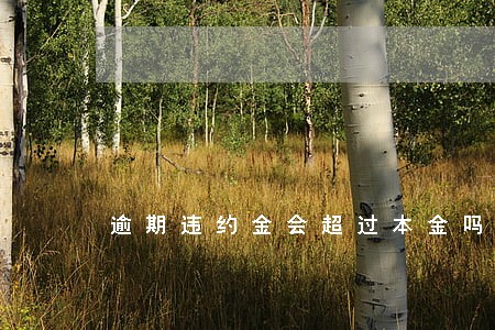 逾期违约金会超过本金吗 逾期违约金会超过本金吗