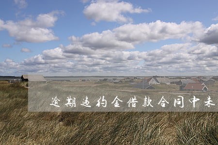 逾期违约金借款合同中未规定 逾期违约金借款合同中未规定