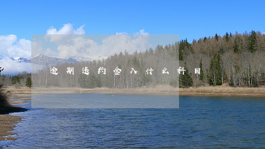 逾期违约金入什么科目 逾期违约金入什么科目