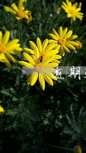 逾期违约金利率是多少钱 逾期违约金利率是多少钱