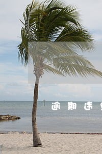 逾期违约金利率算法 逾期违约金利率算法