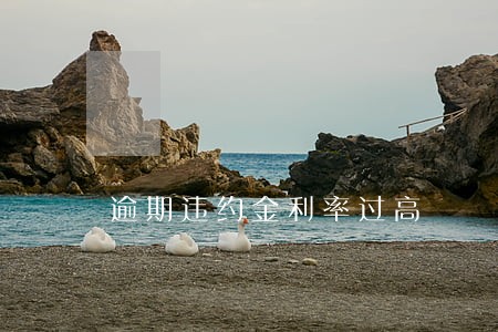 逾期违约金利率过高 逾期违约金利率过高