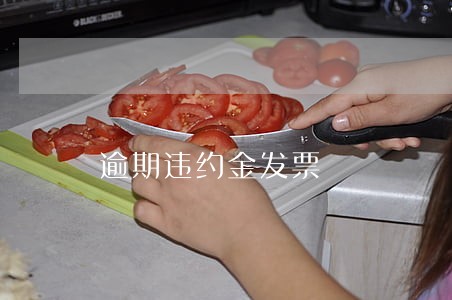 逾期违约金发票