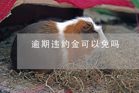 逾期违约金可以免吗 逾期违约金可以免吗