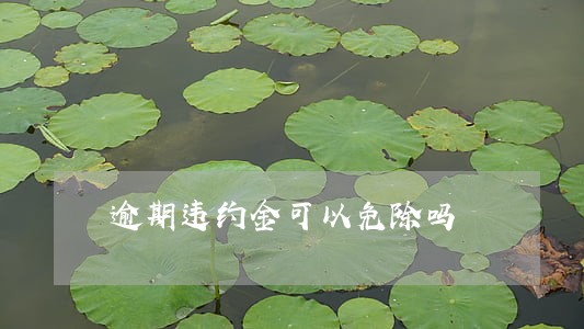 逾期违约金可以免除吗 逾期违约金可以免除吗