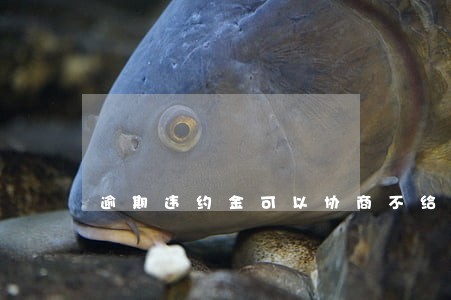 逾期违约金可以协商不给吗