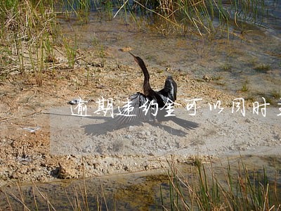 逾期违约金可以同时主张吗 逾期违约金可以同时主张吗