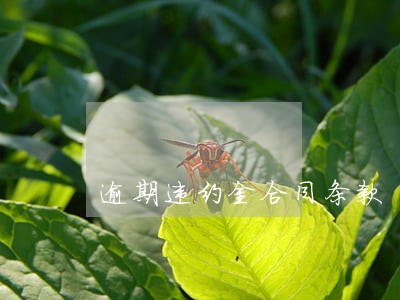 逾期违约金合同条款 逾期违约金合同条款