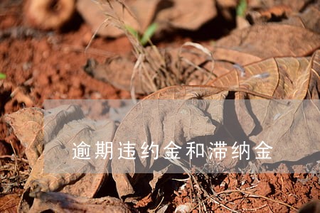 逾期违约金和滞纳金 逾期违约金和滞纳金