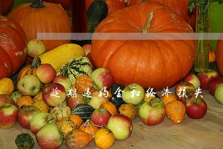 逾期违约金和经济损失 逾期违约金和经济损失