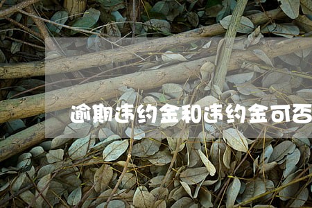 逾期违约金和违约金可否同时主张 逾期违约金和违约金可否同时主张