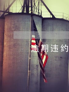 逾期违约金和迟延履行金的区别