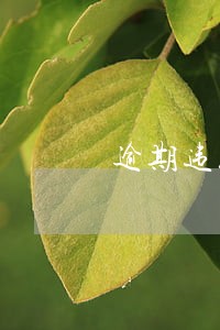 逾期违约金和逾期滞纳金的关系 逾期违约金和逾期滞纳金的关系