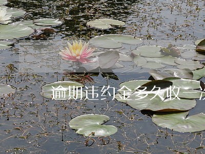 逾期违约金多久收一次 逾期违约金多久收一次