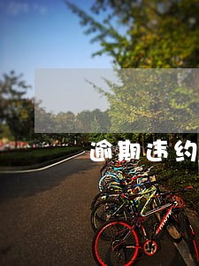 逾期违约金如何计算 逾期违约金如何计算