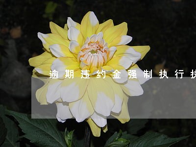 逾期违约金强制执行执行方式 逾期违约金强制执行执行方式