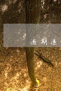 逾期违约金怎么写入合同 逾期违约金怎么写入合同