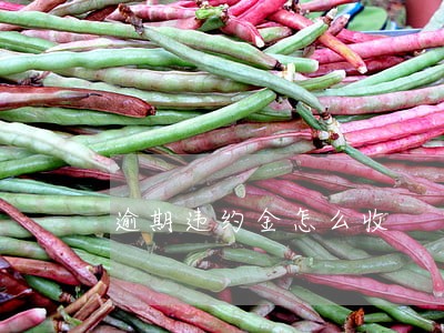 逾期违约金怎么收 逾期违约金怎么收