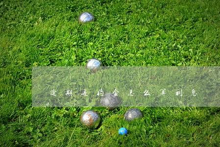 逾期违约金怎么算利息