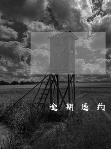 逾期违约金惩罚性赔偿性 逾期违约金惩罚性赔偿性