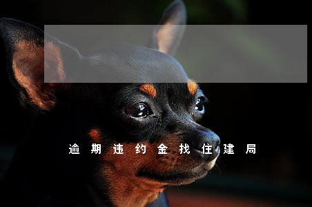 逾期违约金找住建局 逾期违约金找住建局