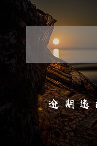 逾期违约金按全部金额还款 逾期违约金按全部金额还款