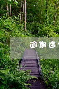 逾期违约金按日算上限吗 逾期违约金按日算上限吗