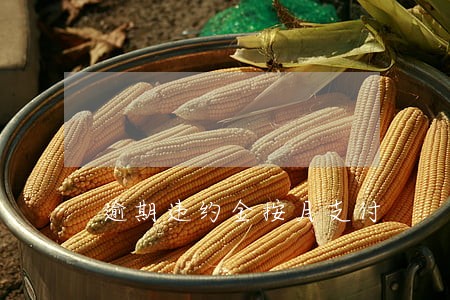 逾期违约金按月支付 逾期违约金按月支付