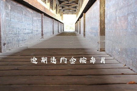 逾期违约金按每月 逾期违约金按每月