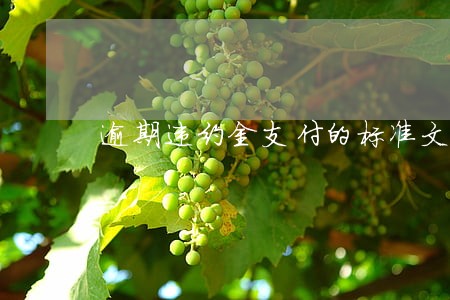逾期违约金支付的标准文件 逾期违约金支付的标准文件