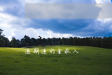逾期违约金收入 逾期违约金收入