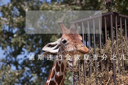 逾期违约金收取百分之几按每天 逾期违约金收取百分之几按每天