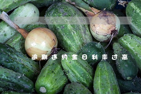 逾期违约金日利率过高 逾期违约金日利率过高