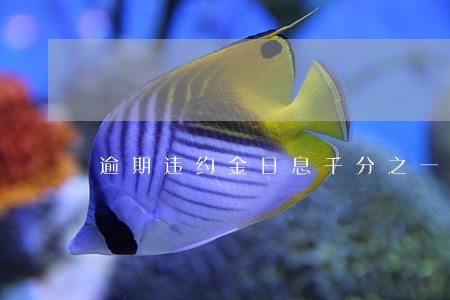 逾期违约金日息千分之一 逾期违约金日息千分之一