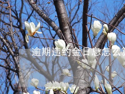 逾期违约金日息怎么算 逾期违约金日息怎么算