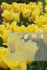 逾期违约金日期