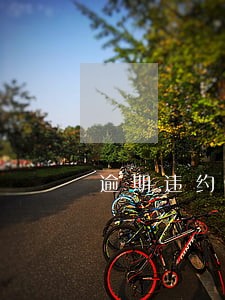 逾期违约金日百分之一