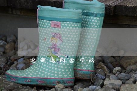 逾期违约金时效 逾期违约金时效