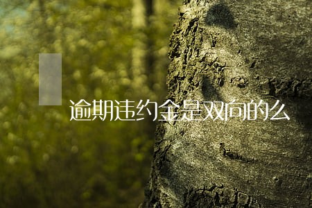 逾期违约金是双向的么 逾期违约金是双向的么