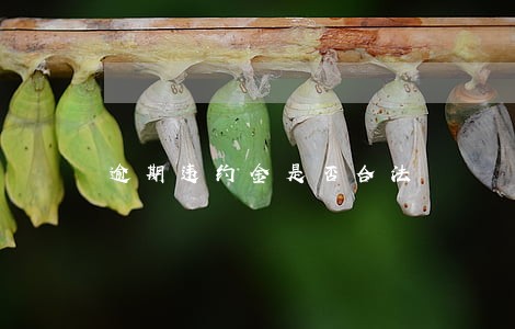 逾期违约金是否合法 逾期违约金是否合法