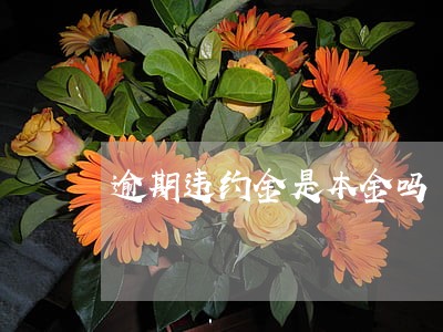 逾期违约金是本金吗 逾期违约金是本金吗